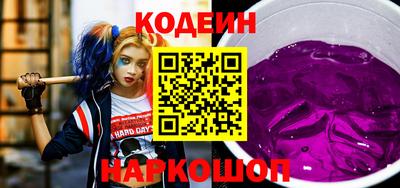 apvp Гатчина