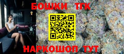 apvp Гатчина