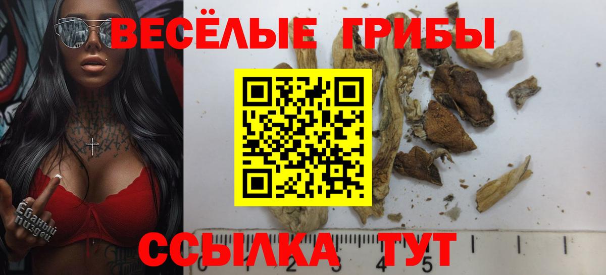 Галлюциногенные грибы прущие грибы  Вход с VPN  Ликино-Дулёво 